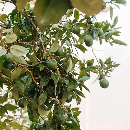 Villa Be Crete - Erofili